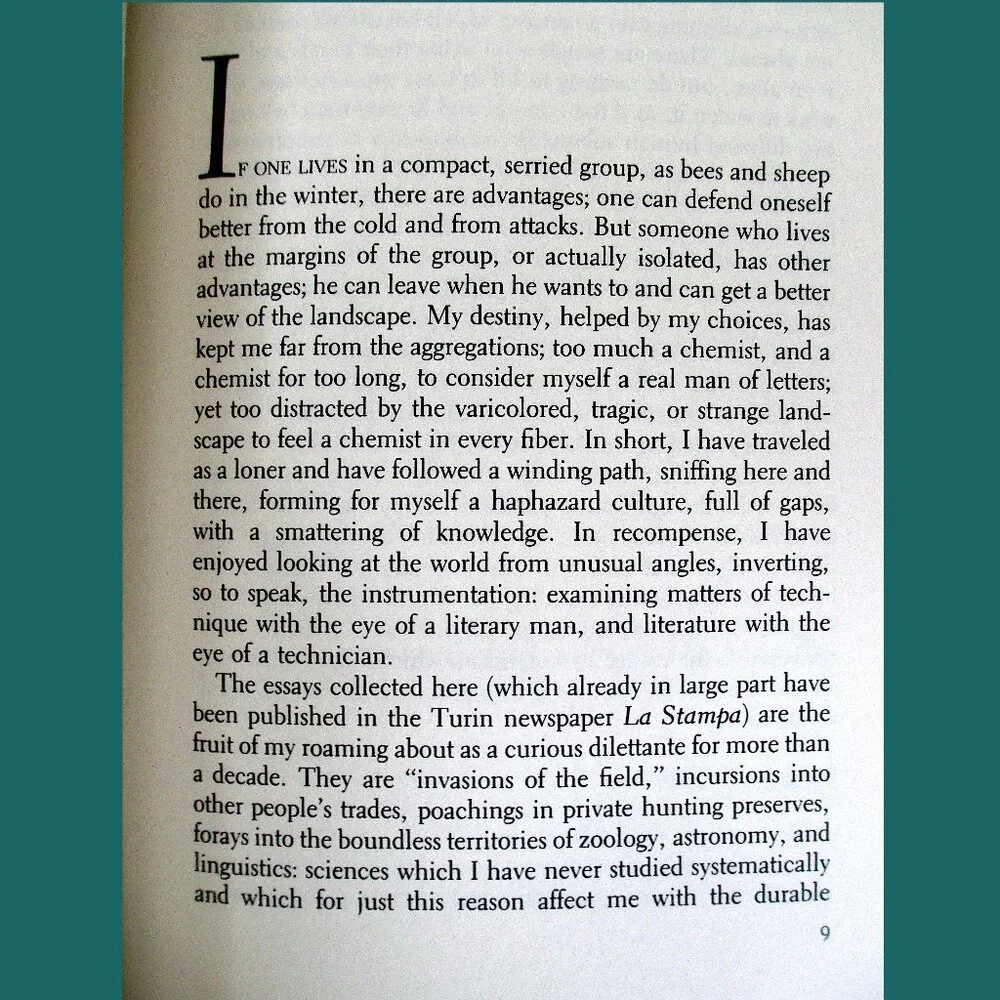 Book: Other People's Trades by Primo Levi, Translated by Raymond Rosenthal - Picture 5 of 14